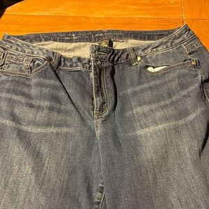 Lane Bryant Women's Straight Leg Jeans - Dark Blue